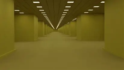 Level 0
